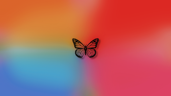 General 1920x1080 abstract butterfly colorful